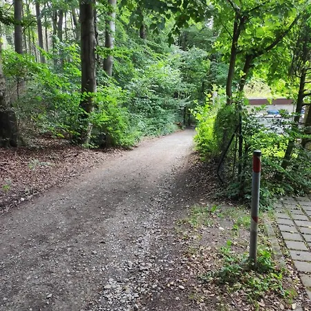 Waldblick Teutoburger Wald *