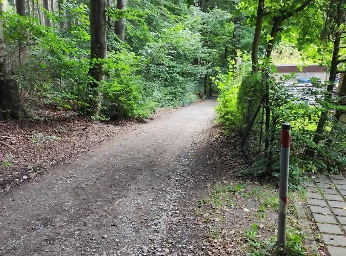 Waldblick Teutoburger Wald *